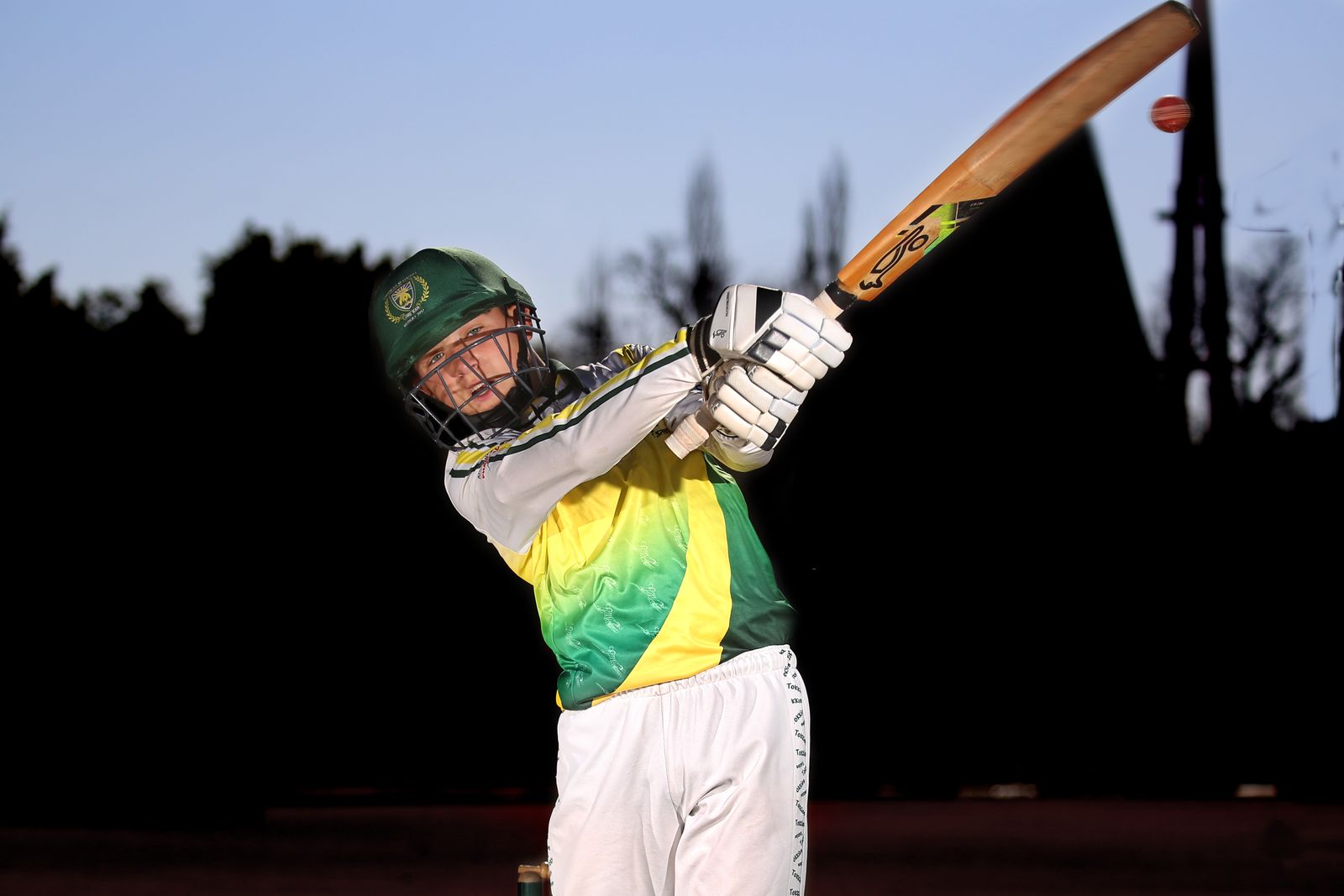 Cricket